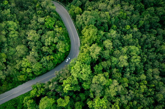 Aerial top view of electric vehicle driving on highway road in green forest. Sustainable transportation, zero emissions, and eco-friendly mobility for reducing carbon footprints. Road infrastructure. - Powered by Adobe
