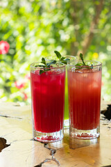 Colorful summer lemonades in glasses with ice and mint on a green background