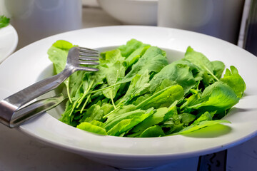 Fresh Sorrel Leaves in a Large Bowl