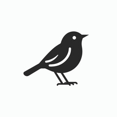 vector illustration of a bird, cartoon bird