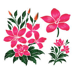 Gardenia flowers vector design on a set with white background