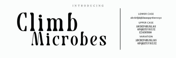 Luxury wedding alphabet font. Typography decorative elegant classic lettering serif fonts vintage retro for logo.