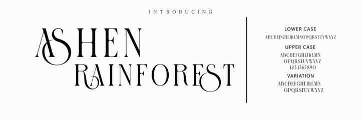 Luxury serif font in modern style. Elegant wedding alphabet letters font and number. Typography Luxury classic lettering serif fonts decorative vintage retro logo