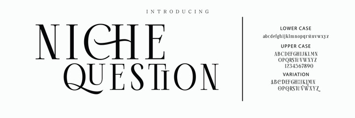 Luxury serif font in modern style. Elegant wedding alphabet letters font and number. Typography Luxury classic lettering serif fonts decorative vintage retro logo