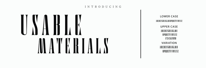 Luxury serif font in modern style. Elegant wedding alphabet letters font and number. Typography Luxury classic lettering serif fonts decorative vintage retro logo