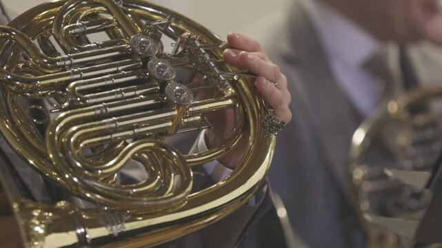French horn players playing their instruments during a live wind band performance