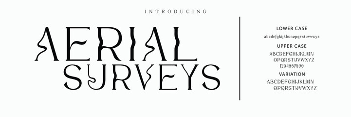 Luxury serif font in modern style. Elegant wedding alphabet letters font and number. Typography Luxury classic lettering serif fonts decorative vintage retro logo