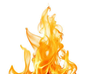 fire flames on white background