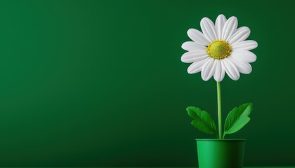 A vibrant daisy in a green pot against a contrasting green background.
