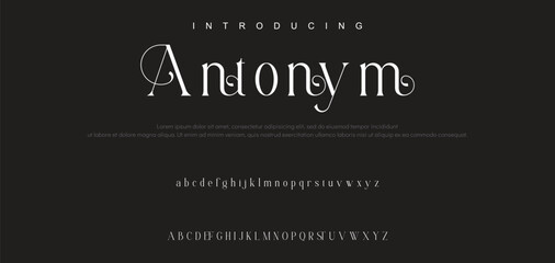 Luxury serif font in modern style. Elegant wedding alphabet letters font and number. Typography Luxury classic lettering serif fonts decorative vintage retro logo