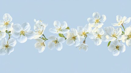 Obraz premium Delicate white spring blossoms forming a beautiful border on a light blue background with ample space for copy or text.