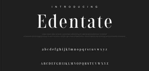 Luxury serif font in modern style. Elegant wedding alphabet letters font and number. Typography Luxury classic lettering serif fonts decorative vintage retro logo