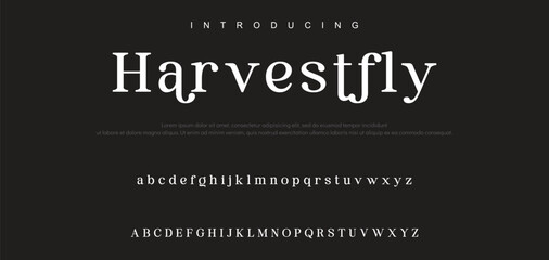 Luxury serif font in modern style. Elegant wedding alphabet letters font and number. Typography Luxury classic lettering serif fonts decorative vintage retro logo