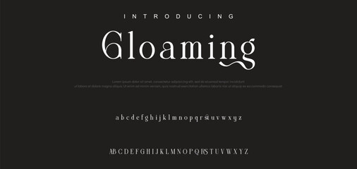 Luxury serif font in modern style. Elegant wedding alphabet letters font and number. Typography Luxury classic lettering serif fonts decorative vintage retro logo