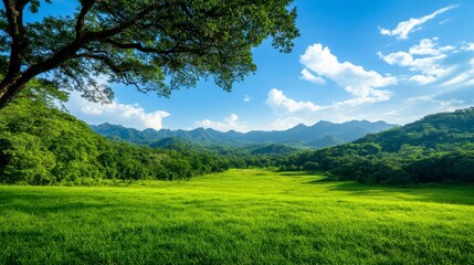 Fototapeta premium Lush green landscape under a bright blue sky with distant mountains.