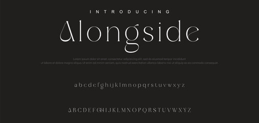 Luxury serif font in modern style. Elegant wedding alphabet letters font and number. Typography Luxury classic lettering serif fonts decorative vintage retro logo