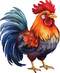 Watercolor vector of a cartoon rooster animation, isolated on a white background, eps.
