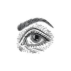 Human eye reference hand draw vintage