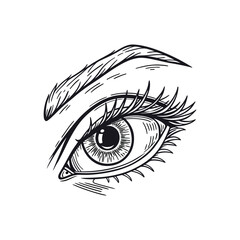 Human eye reference hand draw vintage