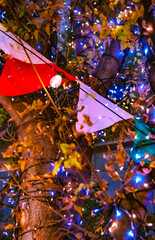 It feels like a fairy tale.