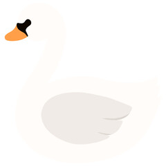 swan