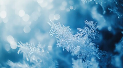 Frosty Winter Wonderland, a serene landscape adorned with delicate snowflakes and tranquil icy blue hues, evoking winter's beauty and chill