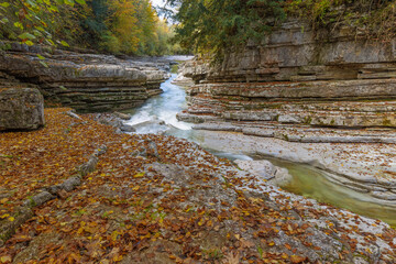 Tauglbach im Herbst