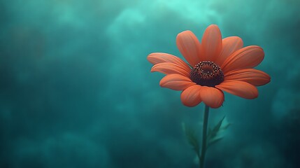 A Single Orange Flower Against A Teal Background