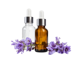 lavender and essential oil