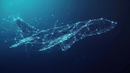 Abstract Airplane: A Network of Connections