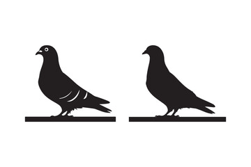 Standing Pigeon Silhouettes Vector Illustration