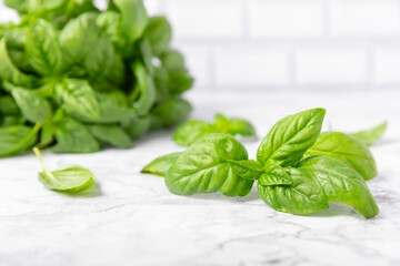 Obraz premium Green basil leaves on a textured wooden background. Kitchen herbs, spices. Fresh green organic basil. Vegan. Greens for salad. Place for text. Copy space.