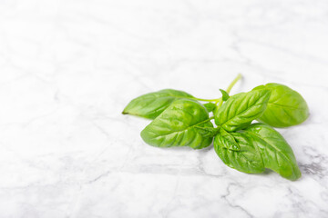 Green basil leaves on a textured wooden background. Kitchen herbs, spices. Fresh green organic basil. Vegan. Greens for salad. Place for text. Copy space.