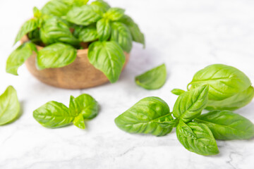 Green basil leaves on a textured wooden background. Kitchen herbs, spices. Fresh green organic basil. Vegan. Greens for salad. Place for text. Copy space.