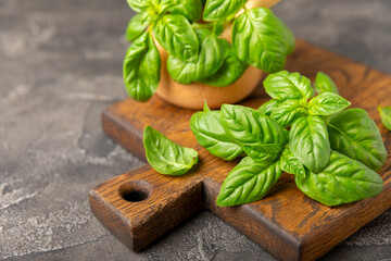 Green basil leaves on a textured wooden background. Kitchen herbs, spices. Fresh green organic basil. Vegan. Greens for salad. Place for text. Copy space.