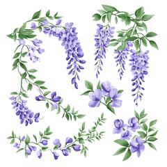 Vector set of wisteria flowers for designing prints, signs, posters and online titles.