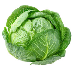 green cabbage vegetable on white background