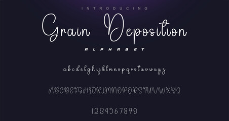 signature Font Calligraphy Logotype Script Brush Font Type Font lettering handwritten