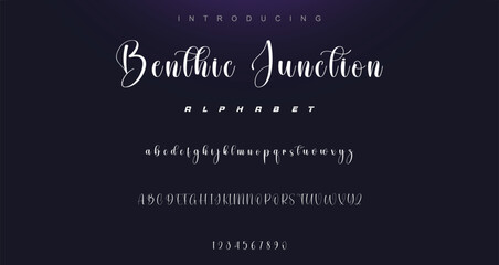 signature Font Calligraphy Logotype Script Brush Font Type Font lettering handwritten