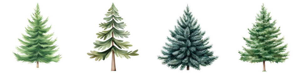 Fototapeta premium Collection of various pine trees with diverse colors and textures, isolated on a white background.