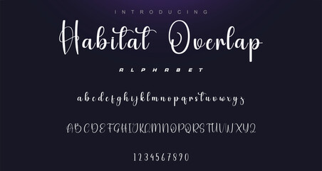 signature Font Calligraphy Logotype Script Brush Font Type Font lettering handwritten