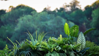 background with inexperienced plants