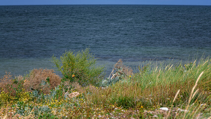 Fehmarn