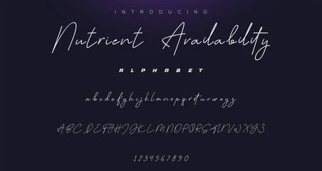 signature Font Calligraphy Logotype Script Brush Font Type Font lettering handwritten