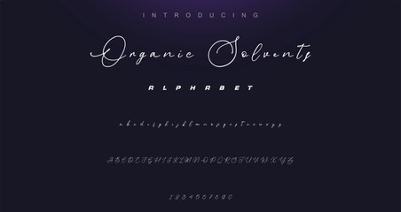 Signature Font Calligraphy Logotype Script Font Type Font lettering handwritten.