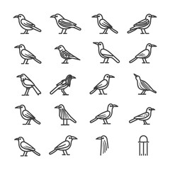 Collection Of 20 Line Drawings Of Birds