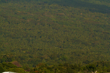 View of the landscape and plantations below mount Karthala n Moroni Island of Comores