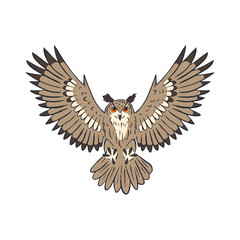 Hand drawn line art eagle-owl flying isolated on white background. Nocturnal bird vector illustration.
