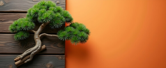 Miniature Bonsai Tree on Rustic Wood, Vibrant Orange Background. Tranquil Zen Garden Aesthetic.