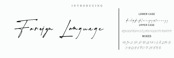 Signature Font Calligraphy Logotype Script Font Type Font lettering handwritten.